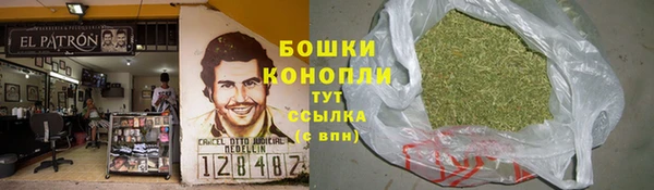 индика Вязники