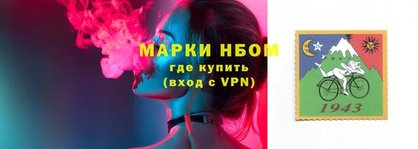 индика Володарск