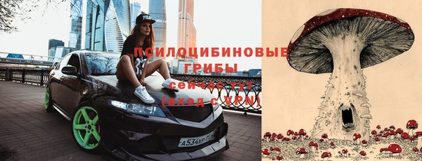 эйфоретик Абаза
