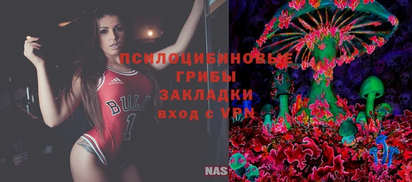 мяу мяу мука Алексеевка